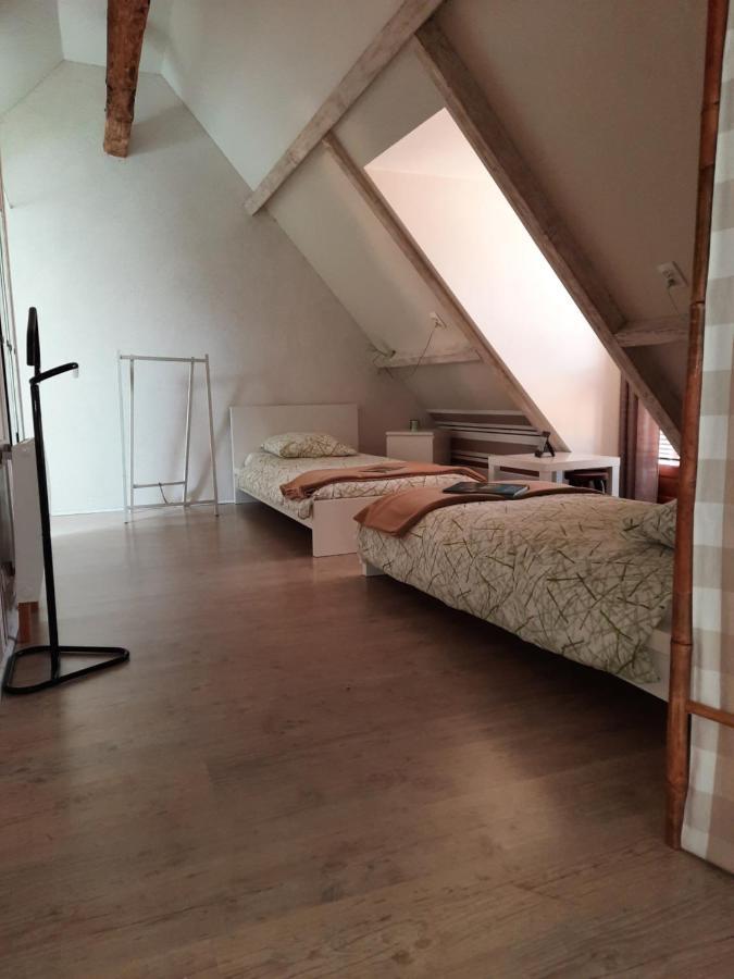 La Maison Genevier - Chambre La Family Montreuil-en-Touraine エクステリア 写真